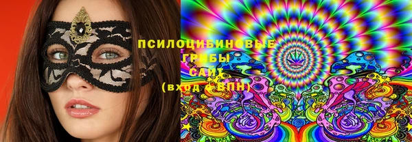 apvp Гусь-Хрустальный