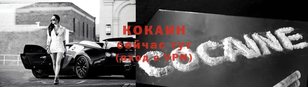 apvp Гусь-Хрустальный