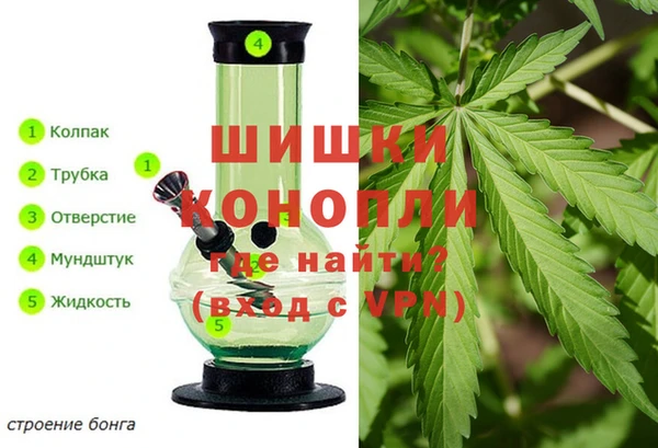 apvp Гусь-Хрустальный